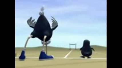 Sustezanie - Pingvin vs Shtaus // Penguin Vs Ostrich // 