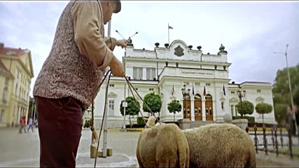 Бай Шиле и Ванко 2 - Писна ни от овце