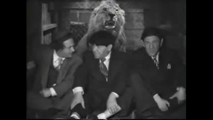 shemp has gas 
