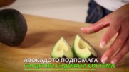 Авокадо - плодът чудо, който съдържа най-полезните вещества