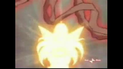 Winx Facts