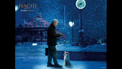 Hachi