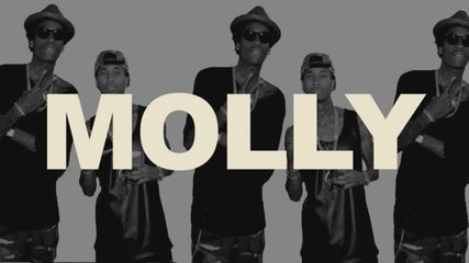 Адската ! Tyga ft. Wiz Khalifa & Mally Mall - Molly (new 2013)