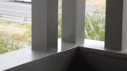 mum vs spider