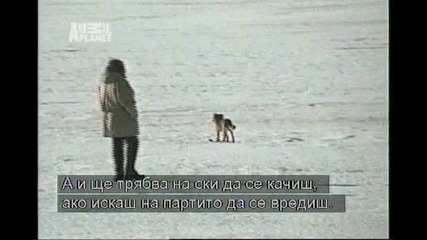 Animal Planet test
