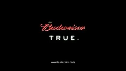 Еволюцията На Бирата Budweiser