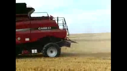 Жътва на пшеница Case Ih 6088 