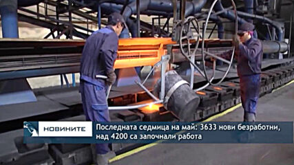 Последната седмица на май: 3633 нови безработни, над 4200 са започнали работа