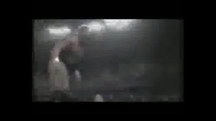 wwe tribute
