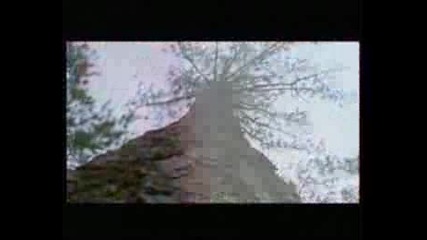 Tarkan - Uyan