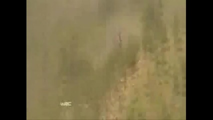 Wrc Rally Portogal 2009 Jari Mati Latvala crash