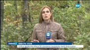 Ловна дружинка хвана 50 нелегални мигранти