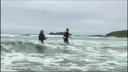 Овца Сърфира в Морето - смях