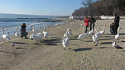 Varna - Black Sea Coast today 019