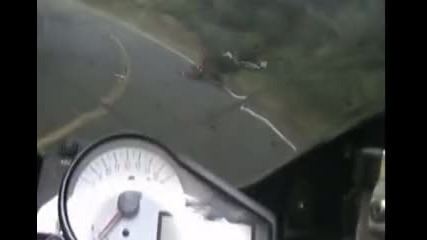 Кошмар - заек изкача пред мотора 
