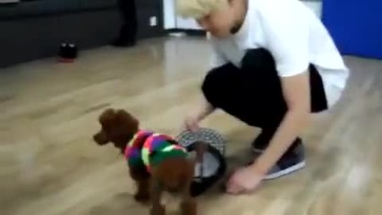 Beast/b2st Cute Yoseob and puppy : D