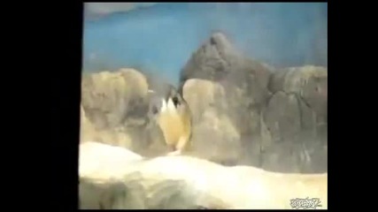 Dubstep пингвин !