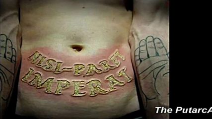 New 2016 - Stupid_crazy Tattoos Piercings