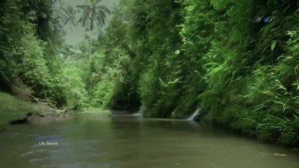 Stive Morgan - Life Source