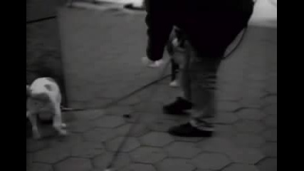 Ugly Kid Joe - Busy Bee 
