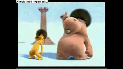 hippo and dog - we will rock you