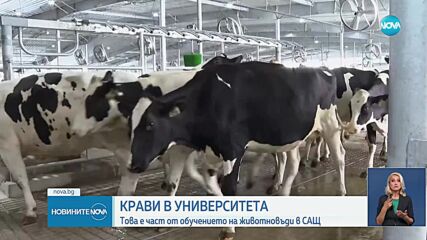 Построиха кравеферма за милиони в университета в Мичиган