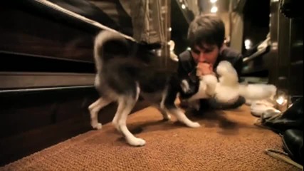 Big Time Rush Elevate Video
