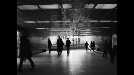 Sun Control Species - Sleeve (solips Remix) 