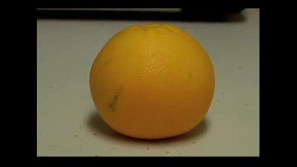 Stop Motion Animation - Death Of An Orange