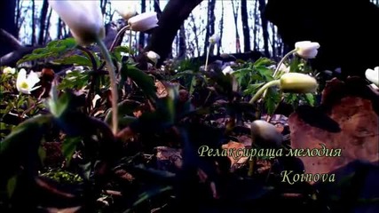 Релаксираща мелодия