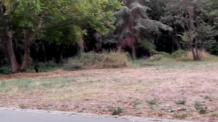 Vid_20150816_061949