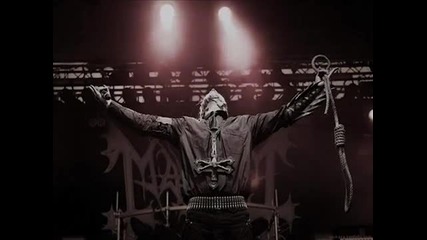 Tormentor - Cara Mia
