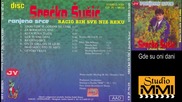 Srecko Susic i Juzni Vetar - Gde su oni dani (Audio 1996)