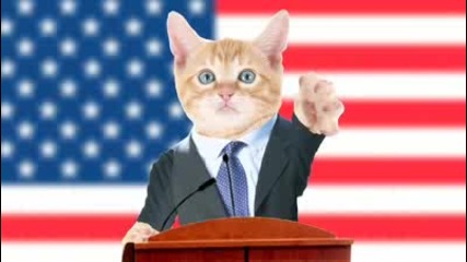 животинска политическа война mops vs kats 
