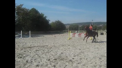 dafito i brusko
