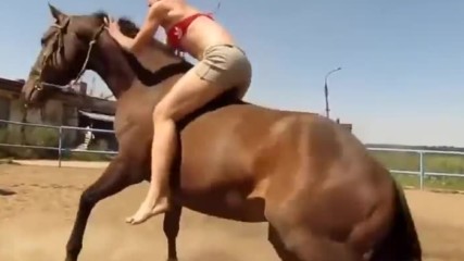 Кон помага на готина ездачка да го яхне