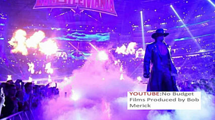 Undertaker's Final Match.mp4