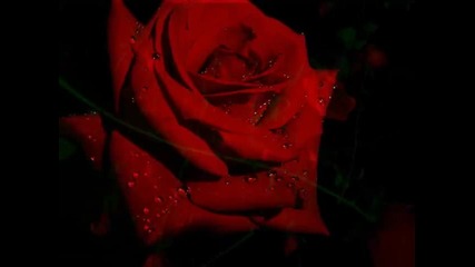 Алла Пугачева - Миллион Алых Роз - Million Scarlet Roses 