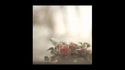Sea Oleena - Sleepless Fever