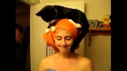 Котката обича да седи на главата и