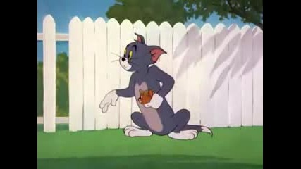 tom and jerry fun