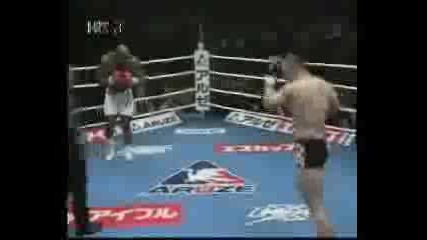 Mirko Crocop Vs  Bob Sapp