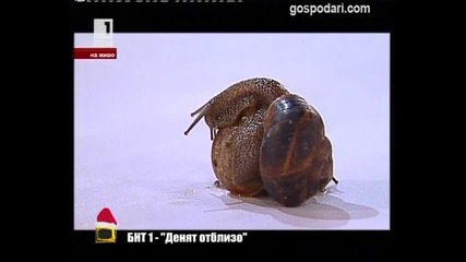 Смях ! Нощта от още по-близo - Господари на ефира