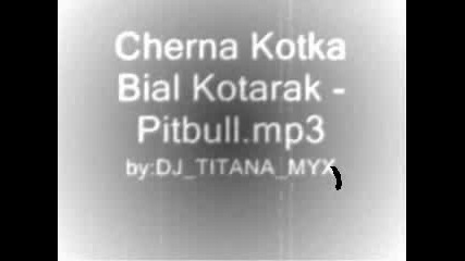 Cherna Kotka Bial Kotarak - Pitbull.mp3