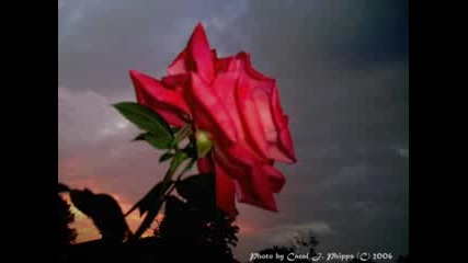 Chris Thompson - If You Remember Me 