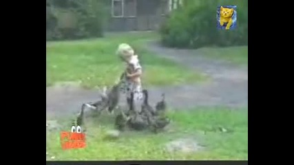 Гадни , гладни патки
