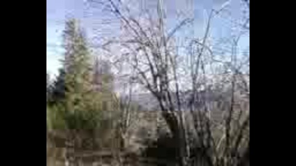 Белмекен