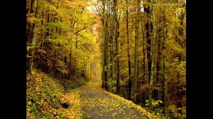 Lautunno - Vivaldi 