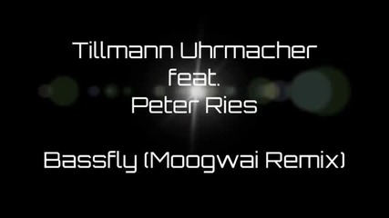 Tillmann Uhrmacher feat. Peter Ries - Bassfly (moogwai Remix