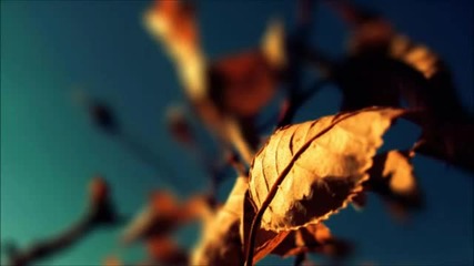 Thesis - Golden Age